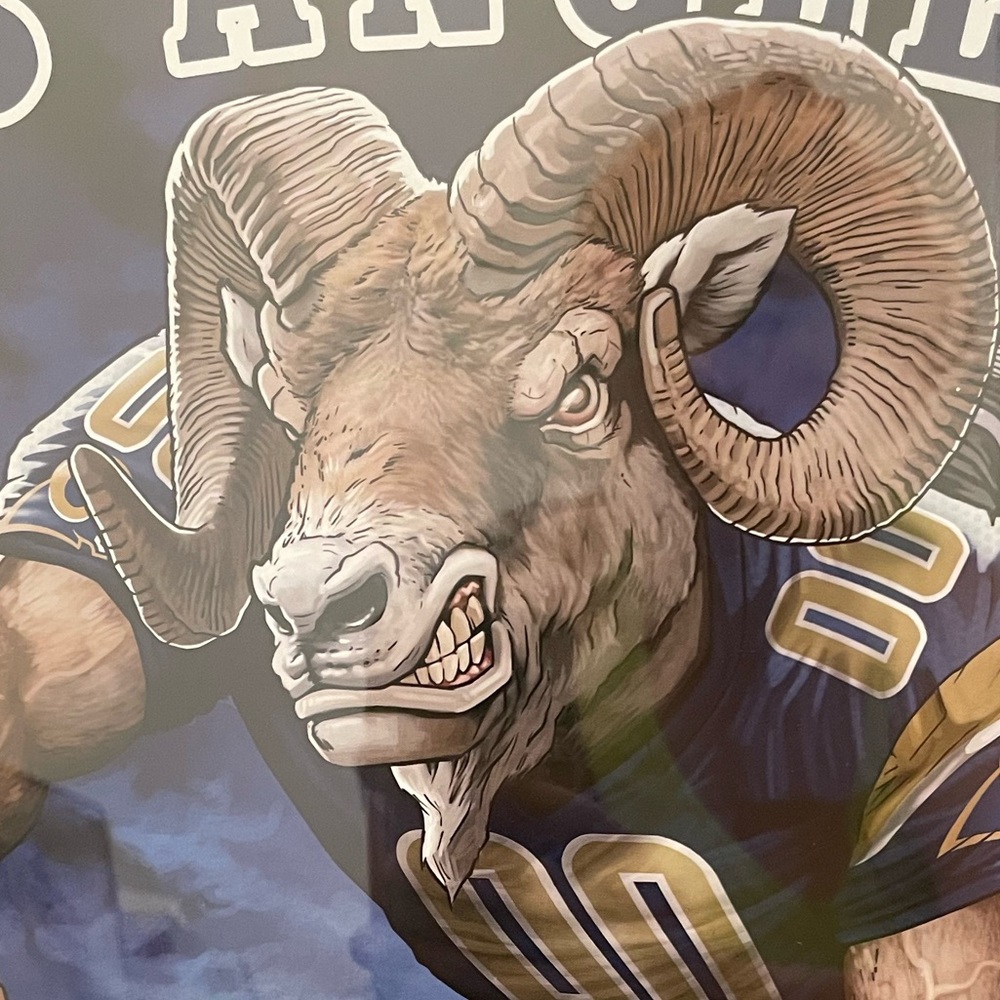Los Angeles RAMS Picture Frame - Picture 7 of 7